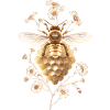 Golden bee on honeycomb