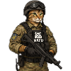 Ukraine Cat with NAFO patch