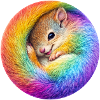 Regenbogen-Eichhörnchen