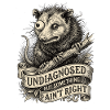 Undiagnosed but something ain't right
