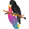 Two Parrots on Branch Cartoon Design