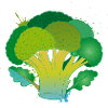 Broccoli Cartoon Vegetable Design