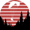 Gleitschirm_uber_Wald