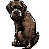 German Wirehaired German Wirehaired Owner