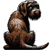 German Wirehaired German Wirehaired Owner