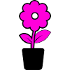 Blume