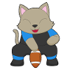 Cat American Football