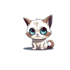 Ragdoll Cat Therapy