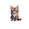 Maine Coon Therapy