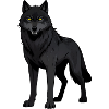 Black wolf with yellow eyes