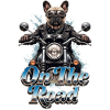 Frenchie biker on the road - 005