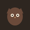 Minimalist Owl on Black