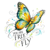 Schmetterling  bunt 