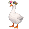 Goose