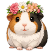 Meerschweinchen