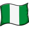 Nigeria Flag Graphic Print
