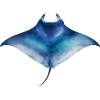 Wasserfarbener Mantarochen