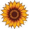 Sonnenblumen Feuerfarben Muster
