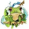 Cute frog in pond magic