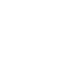 Minimalist flower line