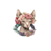 Sphynx Cat Therapy