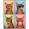 Cats Abyssinian Cat