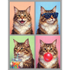 Cats American Bobtail Cat