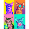 Cats Abyssinian Cat