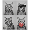 Cats American Bobtail Cat