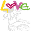 Pride Graffiti Liebe