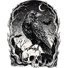 Raven over skull in the moonlight