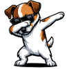 Pasteur de Russell Terrier