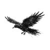 Flying Raven Gothic Graphic