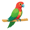 Perroquet tropical