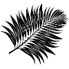 Tropical Palm Leaf