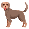 German Wirehaired Dog (Comic)