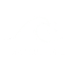 Surf Culture Wave