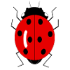 Ladybug