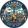 Istanbul Turkey Cats