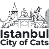 Istanbul City of Cats