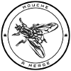 Mouche à merde – Illustration insecte
