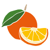 Fresh Orange – Fruity Pop Illustration