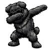 Dapping de Bouvier des Flandres