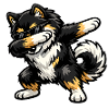 Dabbing Finnish Lapphund