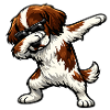Épanouissement du French Spaniel