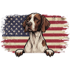Englischer Pointer US-Flagge – Pointer Dad-Jagdhund