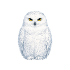 Wasserfarbene Schneeeule Illustration