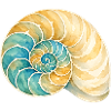 Water-coloured shell spiral