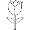Tulip Outline