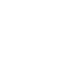MetalliJaska